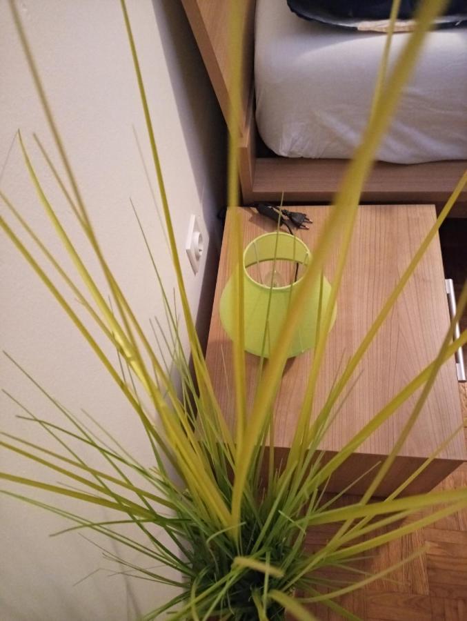 Apartment San Izola - Near The Beach Kültér fotó